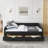 Upholstered Queen Size Daybed with Drawers-767293344-767293345