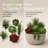 Artificial Succulent