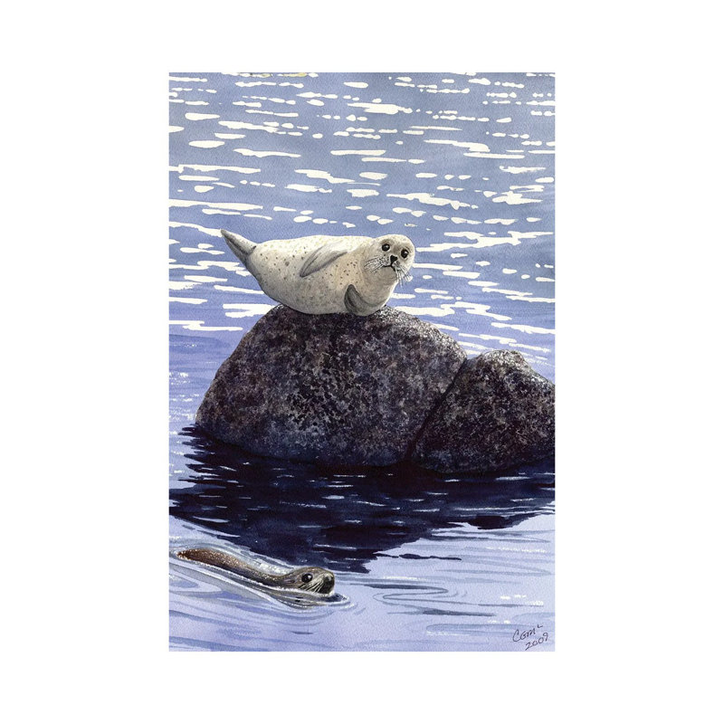 Show Off by Catherine G McElroy - Gallery-Wrapped Canvas Giclée on Canvas, No Frame, 20.32 cm H x 30.48 cm W