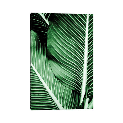 Tropical I by Kimberly Allen - Wrapped Canvas Print
