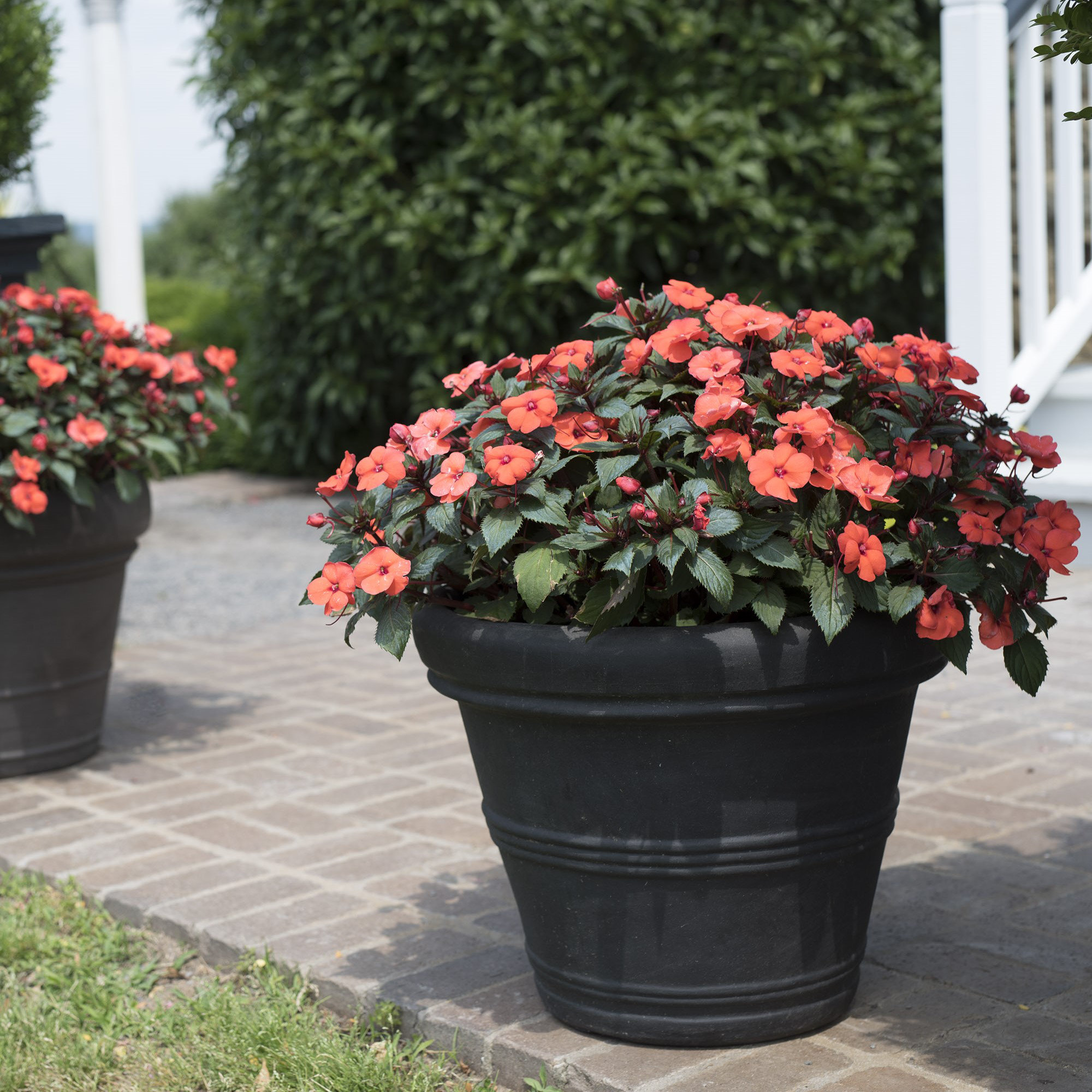 Lanesborough Resin Pot Planter, 9.25" H x 11.4" W x 11.4" D, Rust