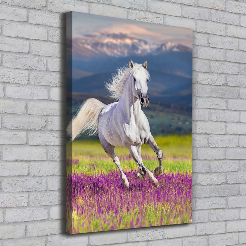 White Horse In Gallop - Wrapped Canvas Print