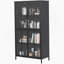 Armoire de rangement de qualité supérieure avec portes en verre trempé et tablettes réglables pour une utilisation polyvalente à la maison et au bureau