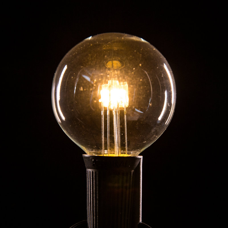 Outdoor 25 - Bulb 25'' Plug-in LED Globe String Light, Black