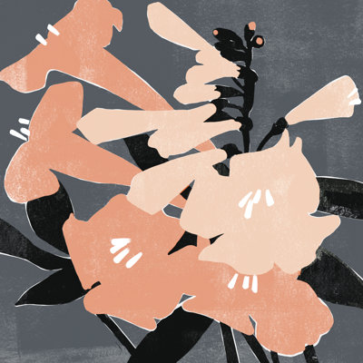 «Mod Lilies I» par Emma Scarvey - impression sur toile tendue