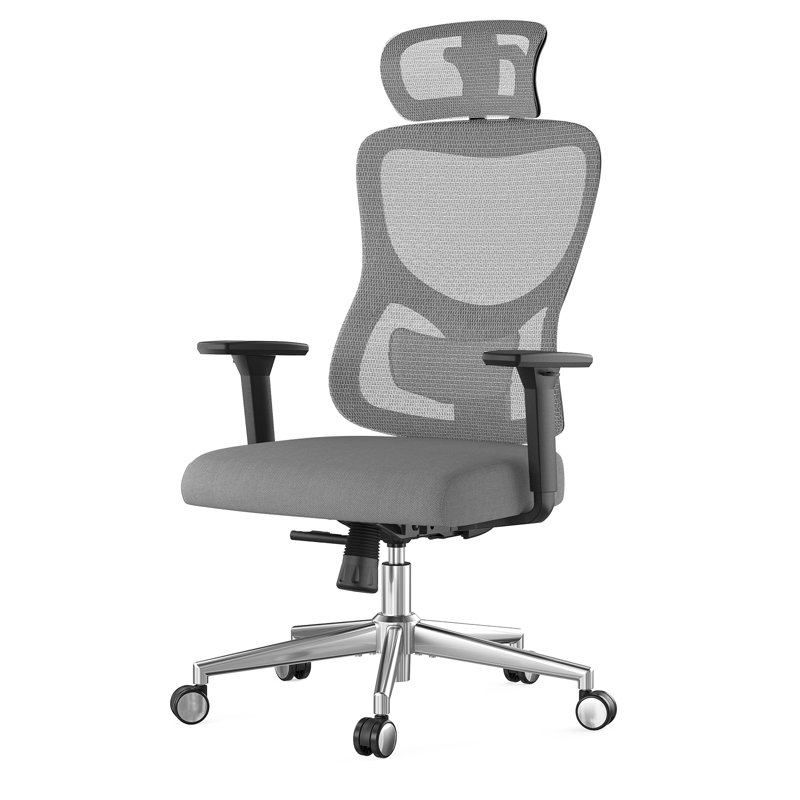 Ergonomic Mesh Office Chair with Multi-adjustable Headrest, Gray