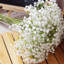 10 pièces de fleurs artificielles pour gitosophila