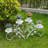 Senter Plant Stand - Set of 2-893631196
