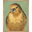 Bird Watching II Print by Ryan Brown-23532892