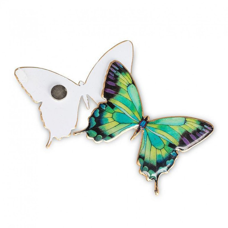 Ensemble de 6 aimants à deux faces papillons assortis