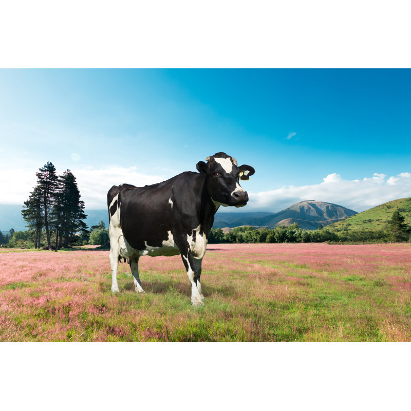 Olmitz Cow on summer pasture 1 Piece Wrapped Canvas Wall Art, 30cm H x 46cm W x 3.8cm D