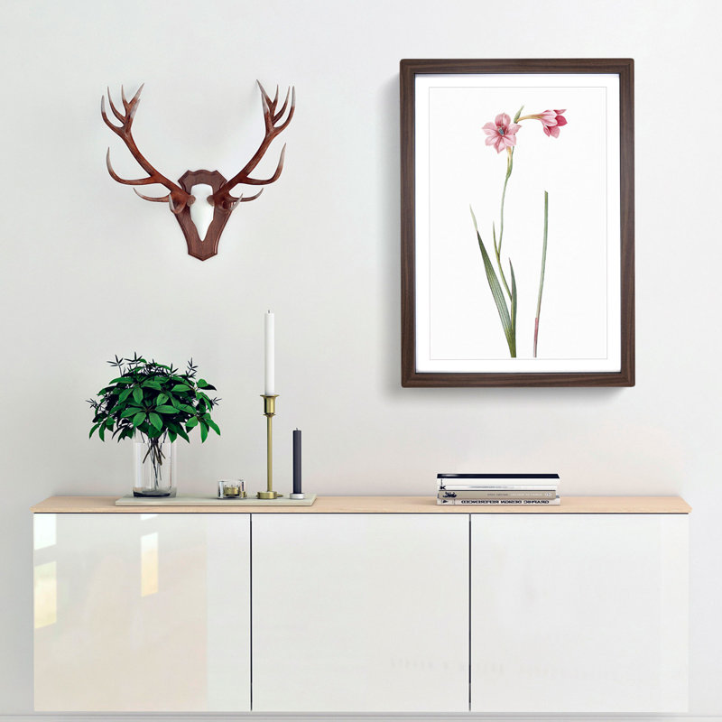 Pink Sword Lily by Pierre-Joseph Redoute - Picture Frame Painting Print, Walnut Framed, 48cm H x 36cm W x 2cm D