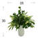 Budding Hydrangeas and Boxwoods Arranged in a Ceramic Vase