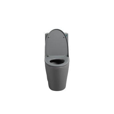 1.1/1.60 GPF Dual-Flush One Piece Toilet, Water-Saving Elongated Comfort Height Floor Mounted, Soft Closing Seat, 1000 Gram Map Flushing Score Toilet