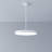 1 - Light LED Single Pendant