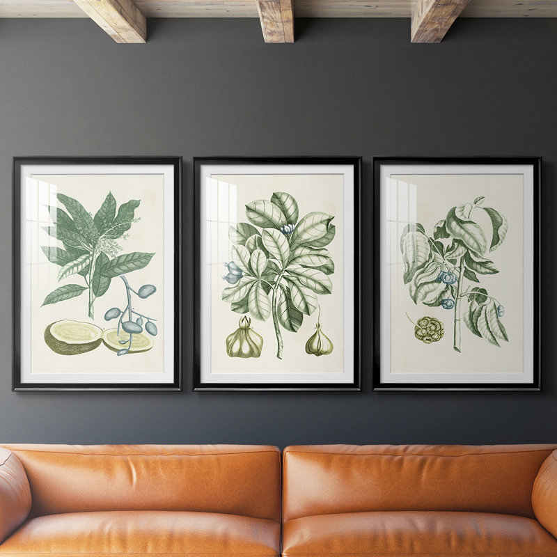 Buchoz Tropicals IV - reproduction encadrée sur mesure de qualité supérieure mate - 3 pièces, Noir, H 30 po x l 63 po