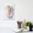 White Shell Study II-1737264879