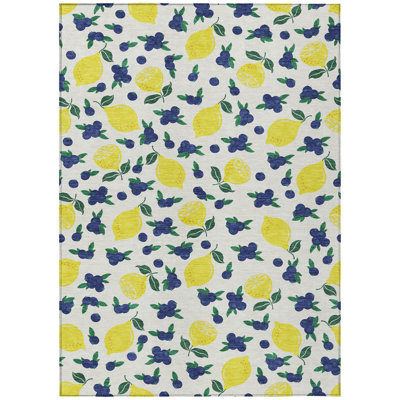 Machine Washable Indoor/Outdoor Bourkelands ACN2354 Fruits Rug