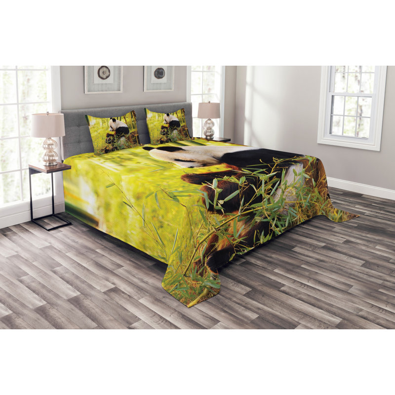 Green/Black Microfibre Bedspread Set, 220 x 264 cm
