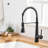 Modern Black Kitchen Faucet With Pull-Down , Single Handle, Brass Material, , Flexible Water Outlet, Easy Install Process Pull Down Faucet, Handle Design, Robust Construction, Corrosion Coating,