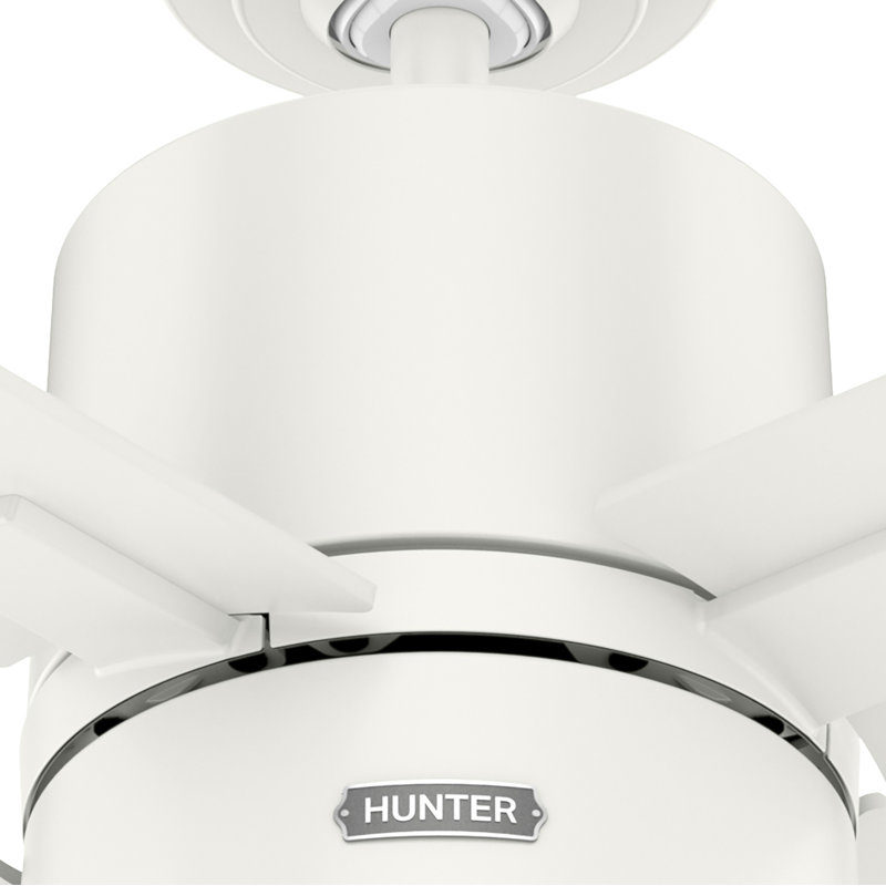 Ventilateur de plafond standard à 4 pales de 42 po avec chaîne de traction et ensemble d'éclairage inclus Beck, Blanc frais