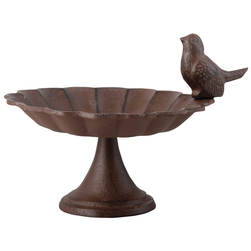 Bird Bath with 1 Bird