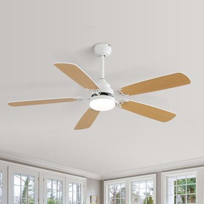 Derick 52'' 5-Blade Modern Ceiling Fan with LED Light and Remote Control
