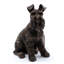 Pieds dans une boîte-cadeau Laymantown Schnauzer