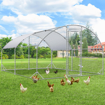 Chudleigh Walk In Chicken Run