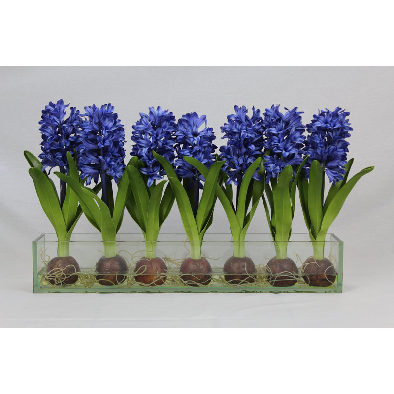 Orchids Centerpiece in Glass Planter, 16" H x 24" W x 4" D, Blue