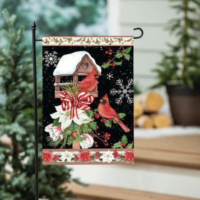 Joyeux cardinal d'hiver, visite du jardin
