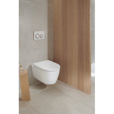 Wall Hung Toilet with soft close seat