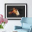 Brown Shire Horse - Framed Print-56917120-56917122
