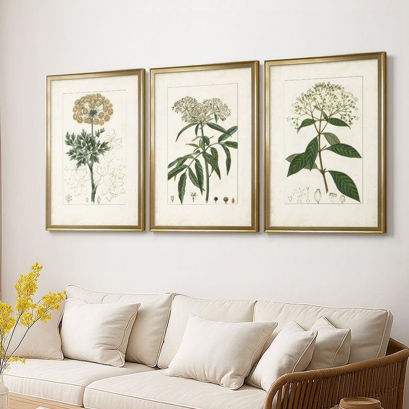 Antique Turpin Botanical VII - Toile tendue avec châssis sur mesure - 3 pièces, H 27 po x l 39 po, Doré