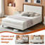 Lit plateforme en bois avec base rembourrée-1060308826-1060308824