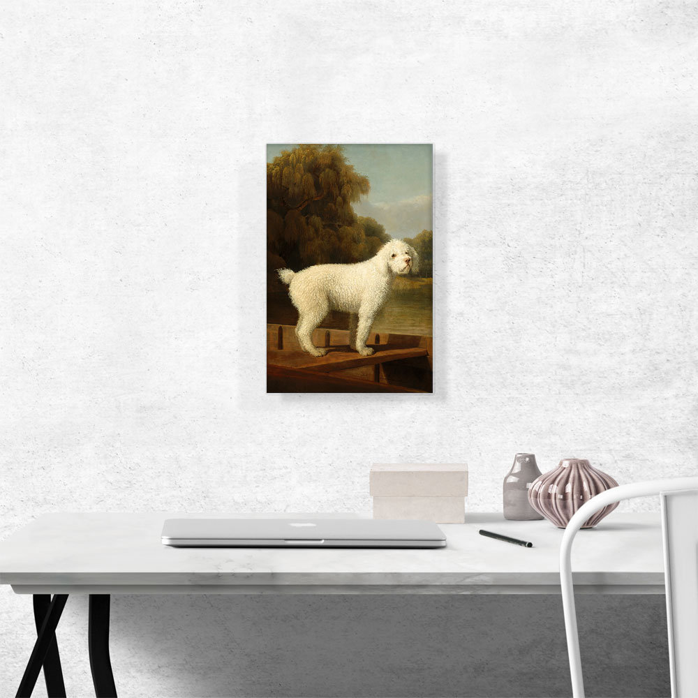 ARTCANVAS White Poodle In A Punt 1780 On Canvas by George Stubbs Painting |  Wayfair