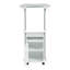 Chariot pour ordinateur portable réglable avec rangement assis et debout, blanc