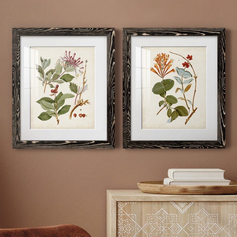 «Vintage Flowering Trees III», ensemble de 2 reproductions d'art sur papier encadrées, Papier encadré blanc