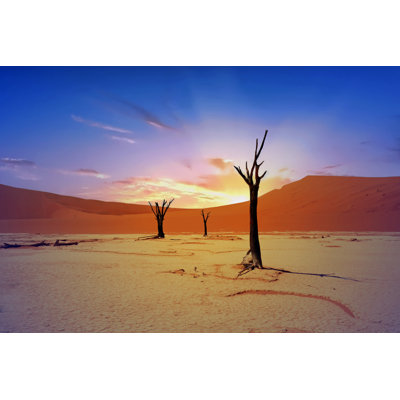 Deadvlei, Namibia - Wrapped Canvas Print