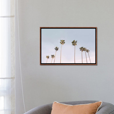 Photographie « california trees »