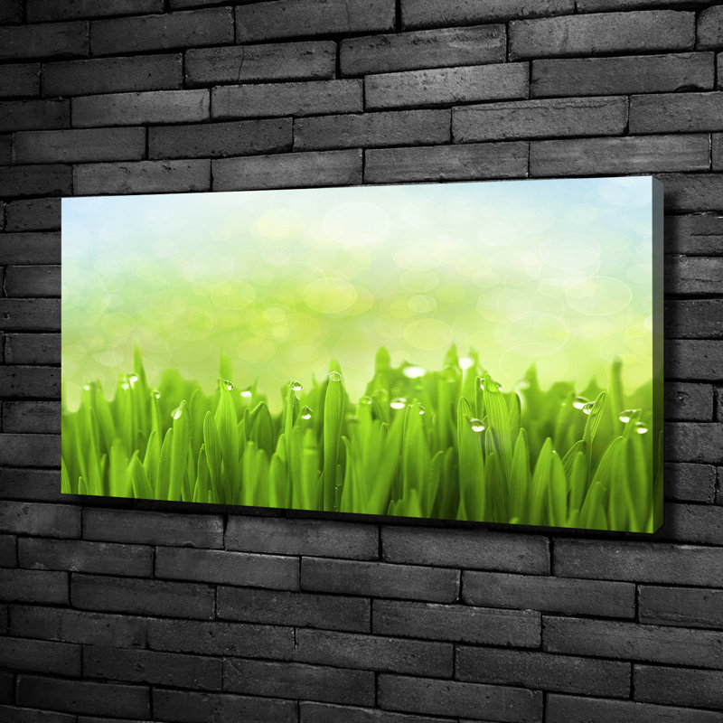 Grass - No Frame Print on Glass, Canvas, 50cm H x 100cm W x 2cm D