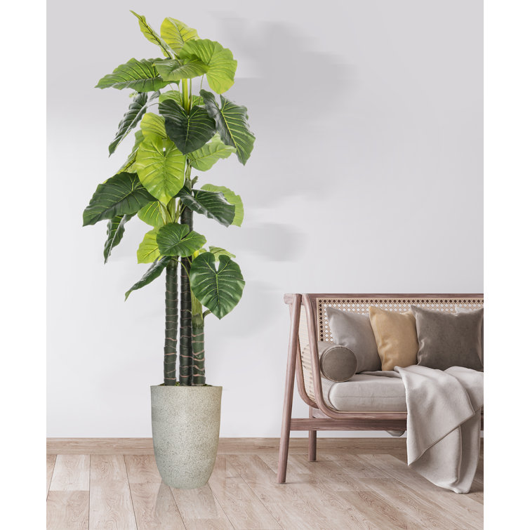 Artificial Elephant Ear Tree In A Shell Designed Fiberstone Planter