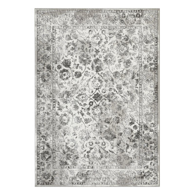 Raashid Oriental Indoor Rug