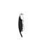 Parrot Corkscrew-1909685
