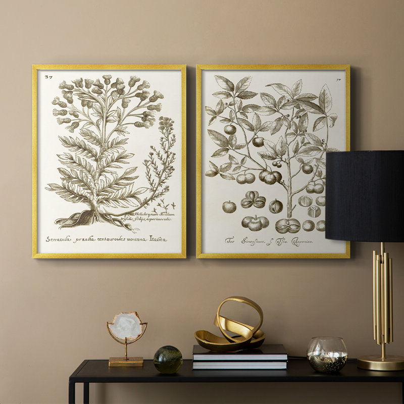 «Sepia Botanical Journal I», reproduction encadrée de qualité supérieure - prête à être accrochée - aucun clou requis - aucun clou requis