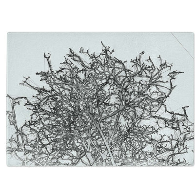 Tempered Glass Bare Tree Chopping Board