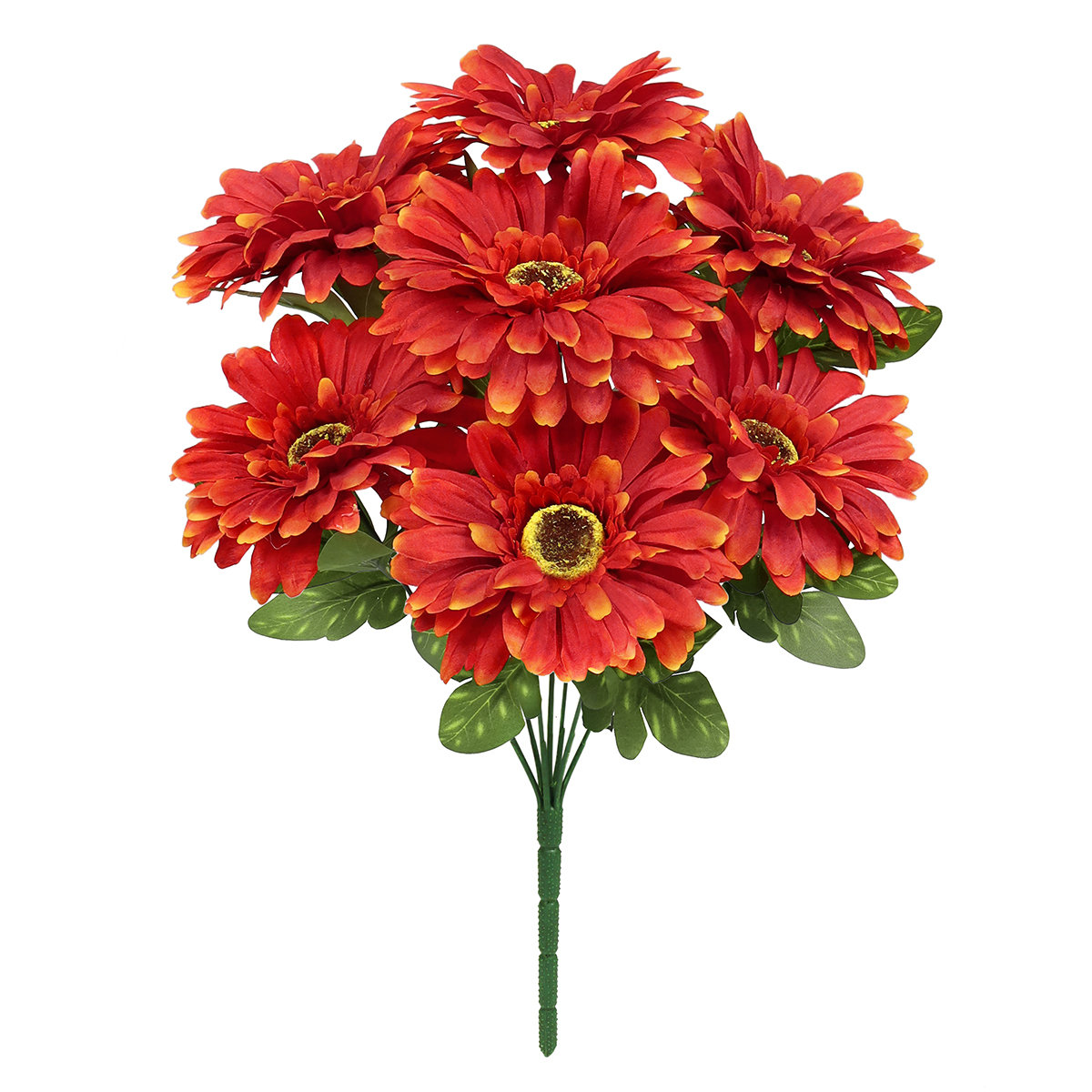 Gerbera Daisy Bushes (Set of 3) Primrue Flowers/Leaves Color: Red