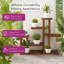 5 Tier Plant Stand