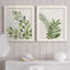 Botanical Wash I - ensemble de 2 reproductions-463140523-463140517-463140521