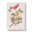 Summer Red Birds by John Audubon - Wrapped Canvas Painting-55317987